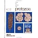 How to Know the Protozoa (Pictured Key Nature Series)