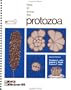 How to Know the Protozoa (Pictured Key Nature Series)