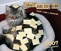 Stuff on My Cat Daily 2007 Daily Calendar