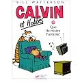 Calvin et Hobbes, tome 19 : Que de mis�re humaine !