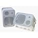 Grilling with Outdoor Speakers