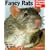 Fancy Rats (Complete Pet Owner's Manual)