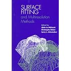 Surface Fitting and Multiresolution Methods (Ullmann's Encyclopdia of Industrial... by Alain Le Mehaute, Christophe Rabut, and Larry L. Schumaker