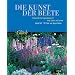 Die Kunst der Beete: Fantasievolle Gartengestaltung mit Duft, Farben und Formen