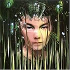 Click here to buy Bachelorette by  Bjork .