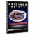 Gridiron Gators - The History of Florida Gator Football