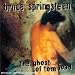 The Ghost of Tom Joad