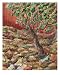 Abide Art Giclee Poster Print by Nadine Rippelmeyer, 16x20