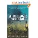 Bridge Too Far (Hodder Great Reads)