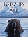 Grizzlies in the Wild