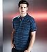 (Parent_T284654A) Autograph Pure Cotton Stripe Polo Shirt in Miscellaneous