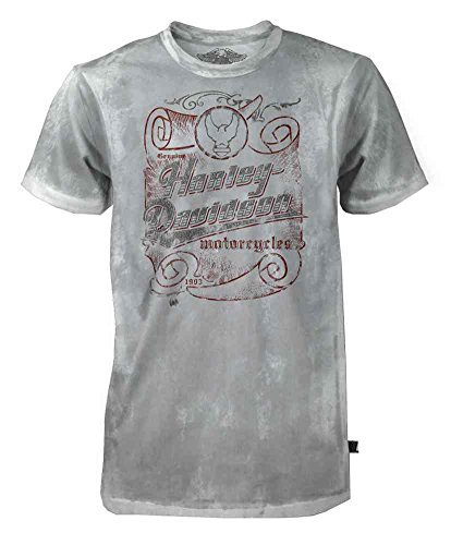 Harley-Davidson Men's Black Label Short Sleeve Tee, H-D Script Scroll, Gray (L)