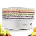 NutriChef Food Dehydrator Machine - Professional Electric Multi-Tier Food Preserver, Meat or Beef Jerky Maker, Fruit /Vegetable Dryer with 5 Stackable Trays, High-Heat Circulation - (PKFD06)