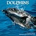 Dolphins 2009 Wall Calendar 12 X 12