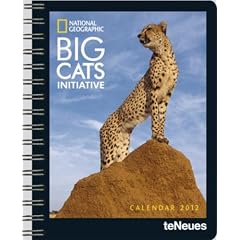 National Geographic Calendar Big Cats 2012 Buchkalender