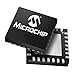 Microchip Technology Inc. PIC16LF1906-I/SP IC, MCU, nanoWatt; 8-Bit w/LCD Driver; Flash, 14KB; 5MIPS; 11-CH, 10-Bit A/D; SPDIP-28
