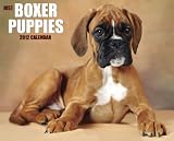 Just Boxer Puppies Calender (Just (Willow Creek))