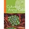 Angiogenesis, Cancer Stem Cell Culture Assays
