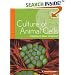 Culture of Animal Cells: A Manual of Basic Technique