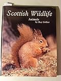 Scottish wildlife : animals