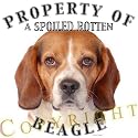 Beagle "Property Of" Adult Sweatshirt