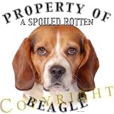 Beagle 