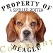   - Beagle 