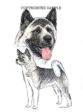 Akita - Double Image by Cindy Farmer