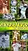 VHS : Major League Baseball - Generations of Heroes
