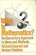 What Is Mathematics (Galaxy Books)