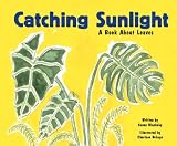 Catching Sunlight: A Book about Leaves (Growing Things (Picture Window Books))