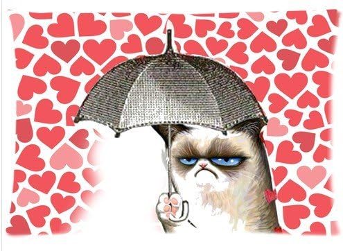 LarryToliver You deserve to have two-sided printing Satin fabric 20 X 30 inch pillowcase Grumpy Cat I Have a Umbrella best pillow cases