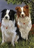 Border Collie Black and Red Note Cards