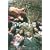 �[�ċz�̕K�v (��������) [DVD]