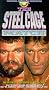 Steel Cage Match Steel Cage Match