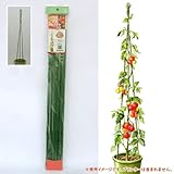 ニチカン：トマト支柱セット[持ち運びができ、収納も便利]