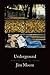 Underground: New and Selected Poems