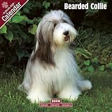 Eigenschaften Avonside Publishing Ltd.  / Kalender 2009 Bearded Collie - Beardie