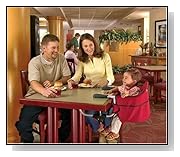 Chicco Caddy Hook On Chair
