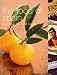 The Food of Spain: A Journey For Food Lovers (Cookery)