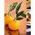 The Food of Spain: A Journey For Food Lovers (Cookery)
