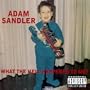 The Excited Southerner Proposes To A Woman [Explicit]