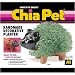 Chia Pet Handmade Decorative Planter- Pig