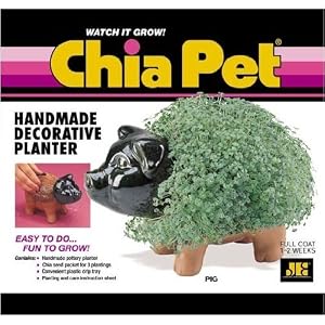 Amazon.com: Chia Pet Handmade Decorative Planter- Pig: Patio, Lawn & Garden