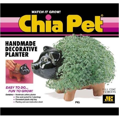 Chia Pet Handmade Decorative Planter- Pig