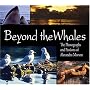 Beyond the Whales: The Photographs and Passions of Alexandra Morton