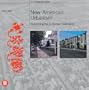 New American Urbanism: Re-forming the Suburban Metropolis (Skira Architecture Library)