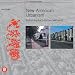 Book New American Urbanism: Re-Forming the Suburban Metropolis (Skira Architecture Library)