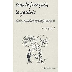 Sous le fran�ais, le gaulois : Histoire, vocabulaire, �tymologie, toponomie