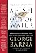 A Fish Out of Water: 9 Strategies to Maximize Your God-Given Leadership Potential